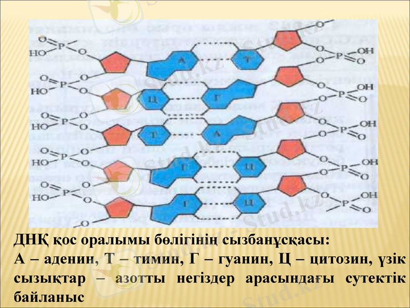 Slide 7