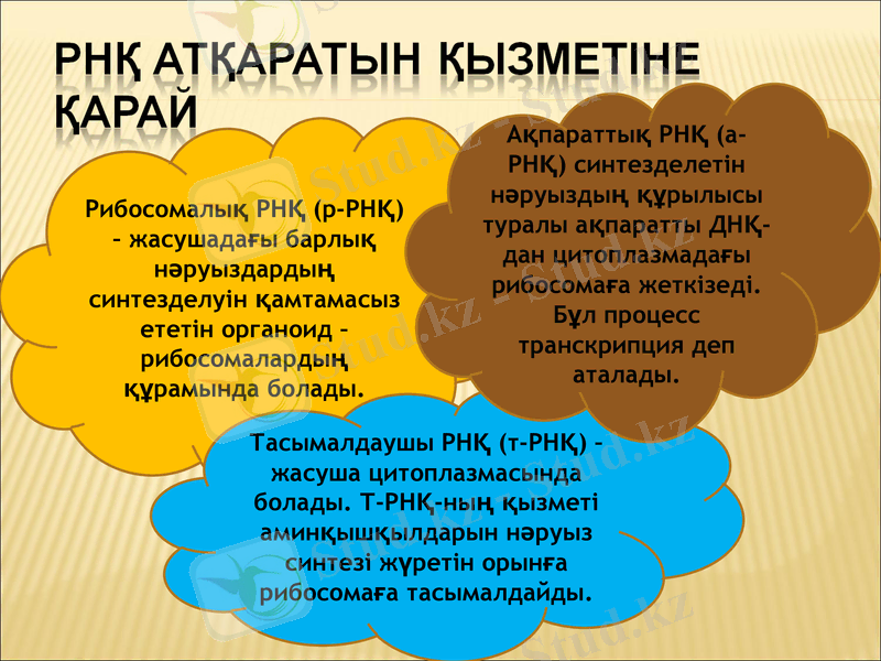 Slide 9