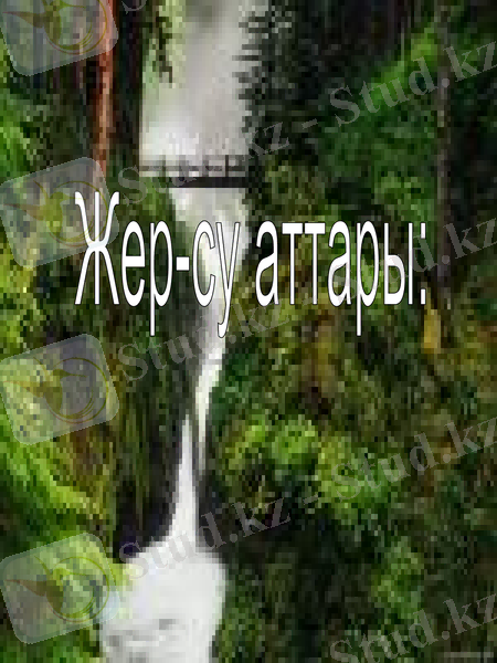 Slide 12
