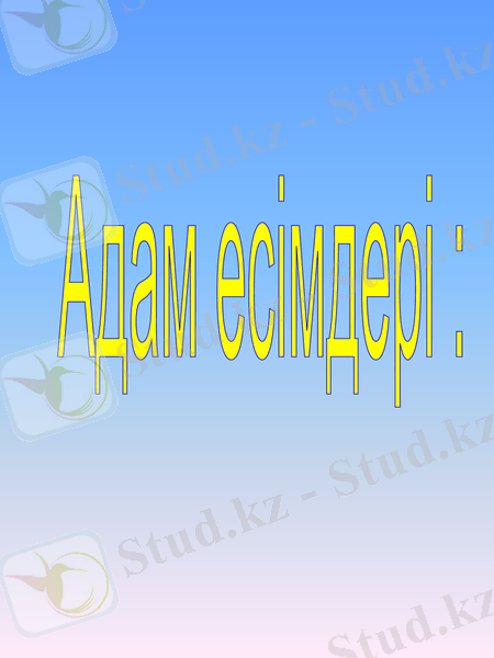 Slide 13