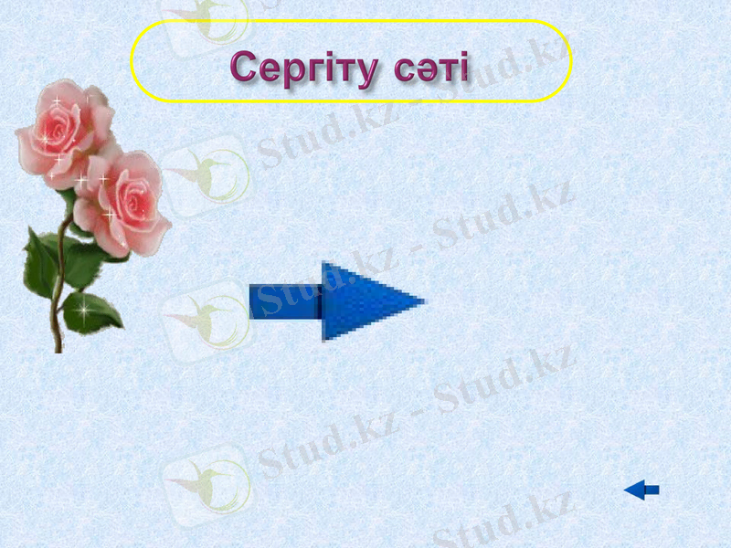 Slide 24