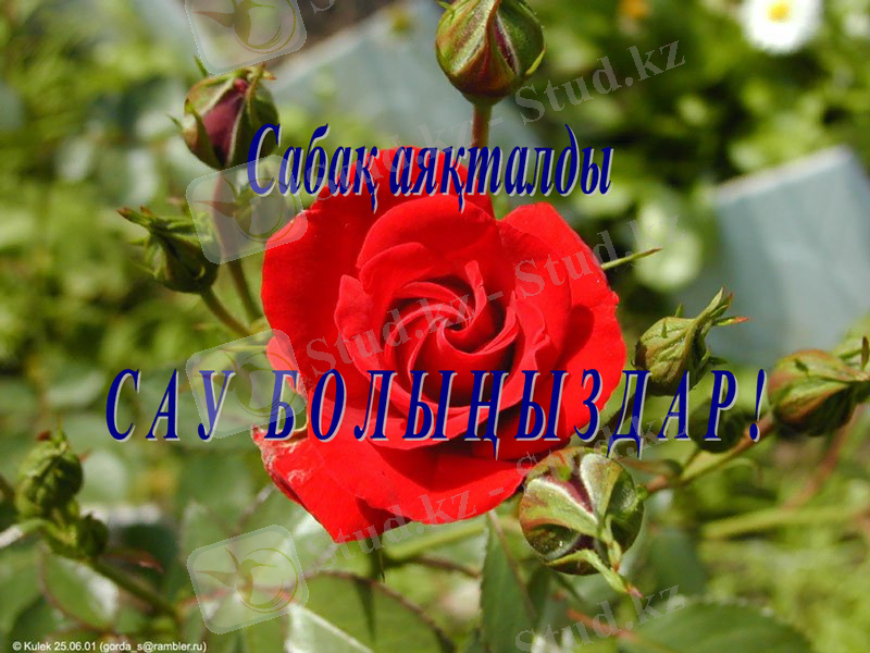 Slide 25