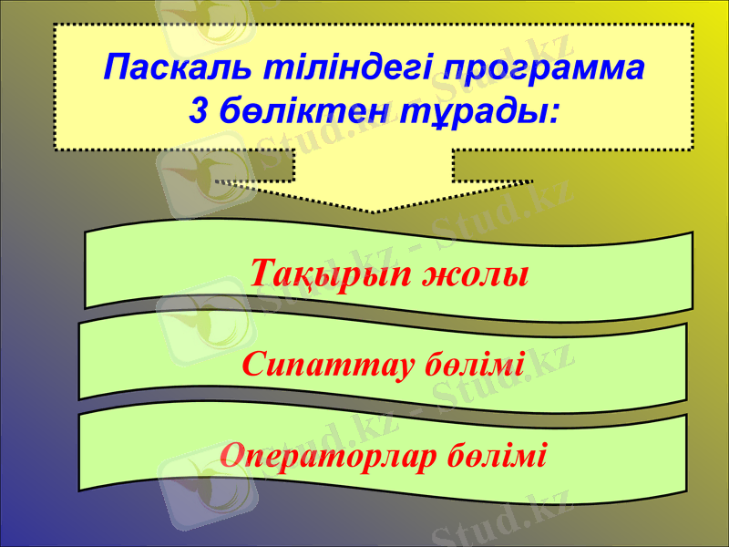 Slide 6