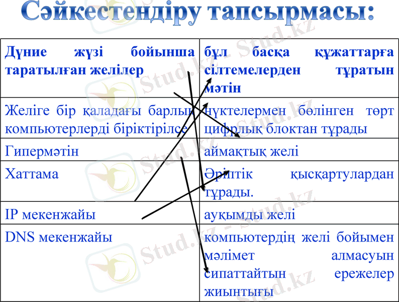 Slide 11