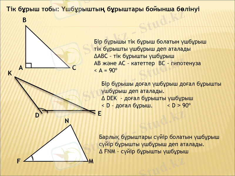 Slide 13