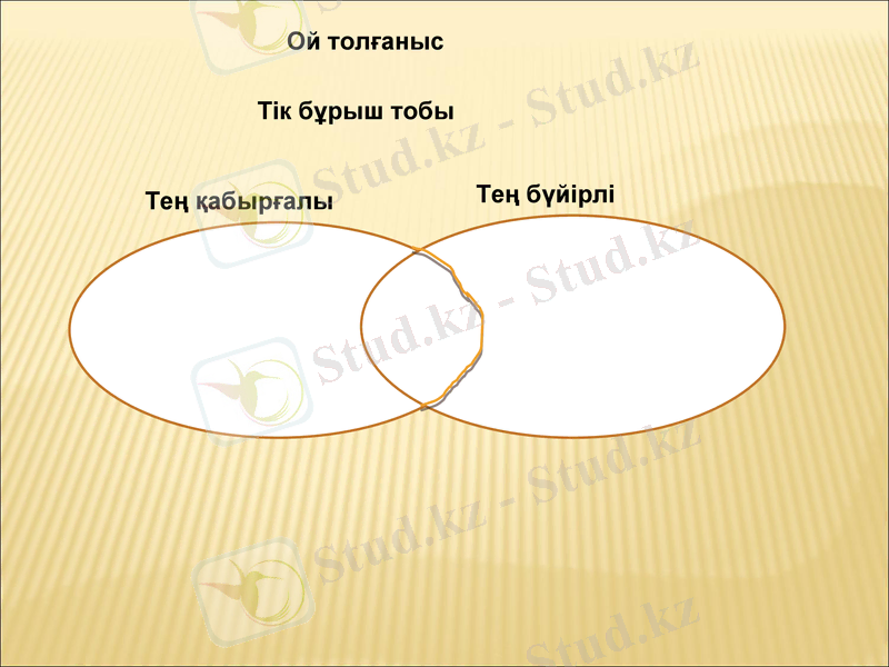 Slide 19
