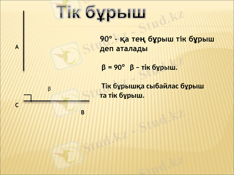 Slide 8
