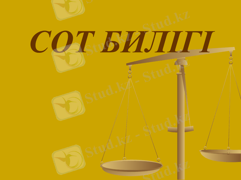 Slide 12