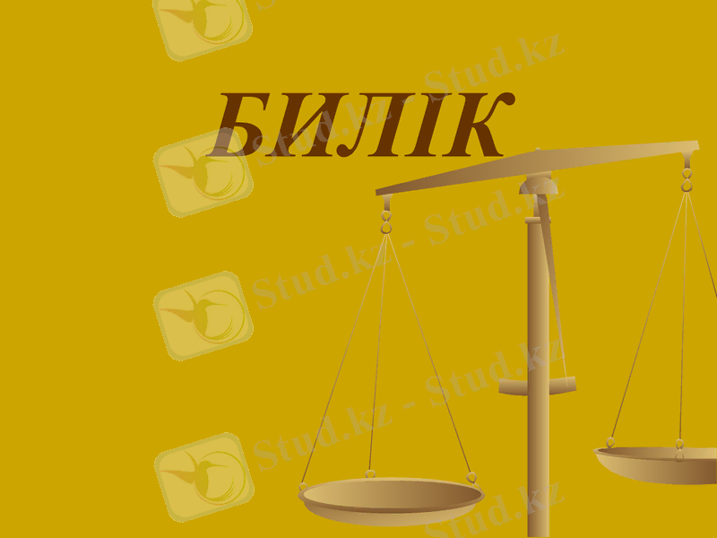 Slide 13