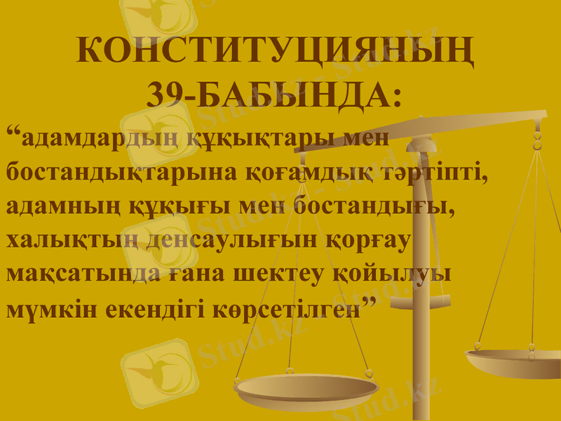 Slide 24