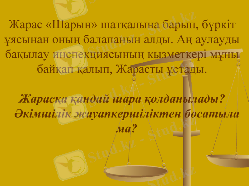 Slide 31