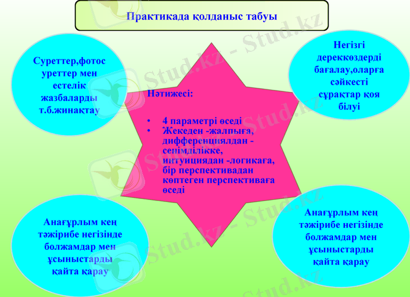 Slide 8