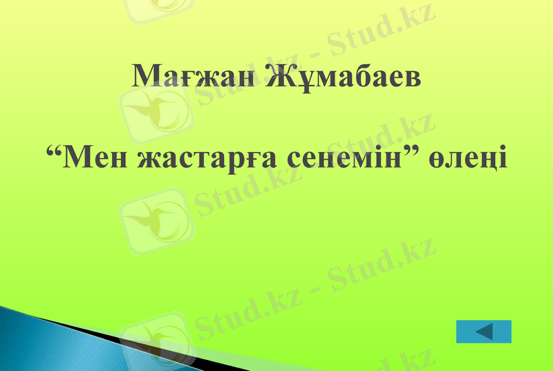 Slide 11