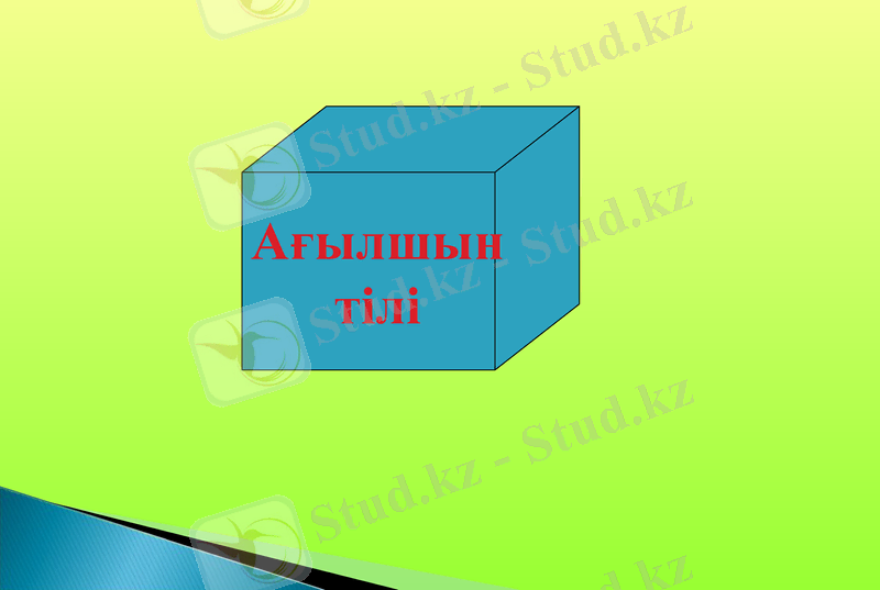 Slide 12