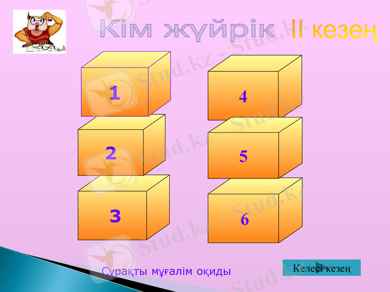 Slide 7
