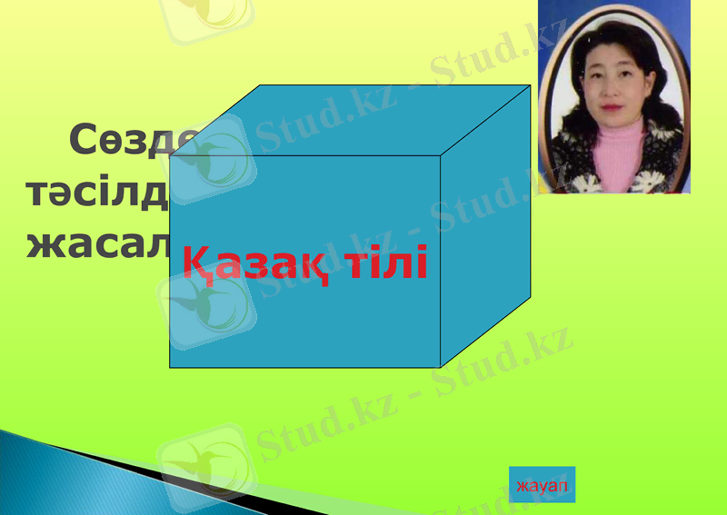 Slide 8