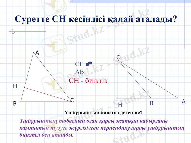 Slide 19