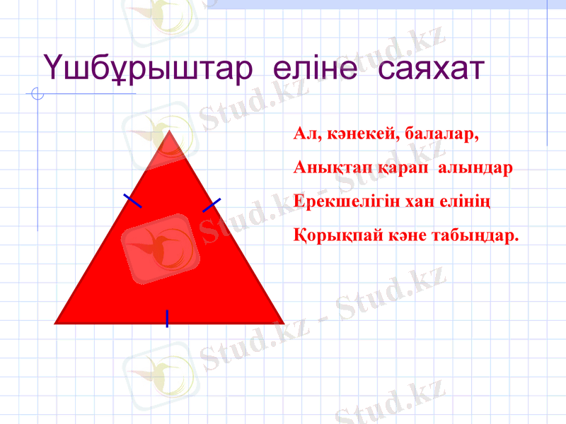 Slide 8