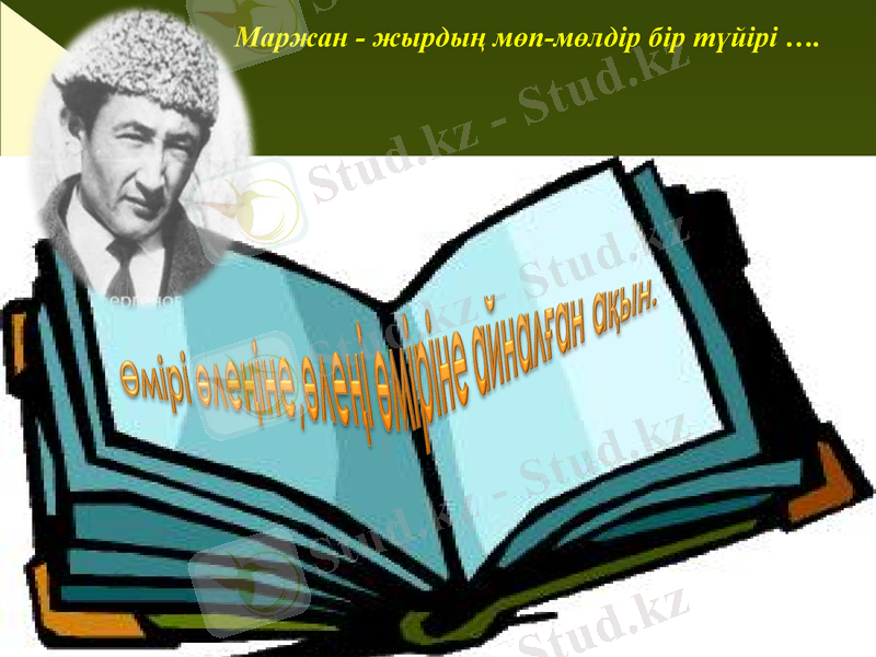 Slide 5