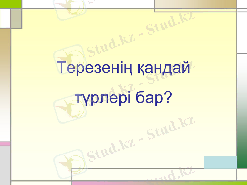 Slide 21