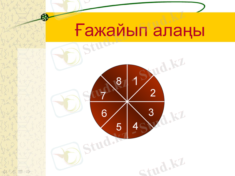 Slide 5