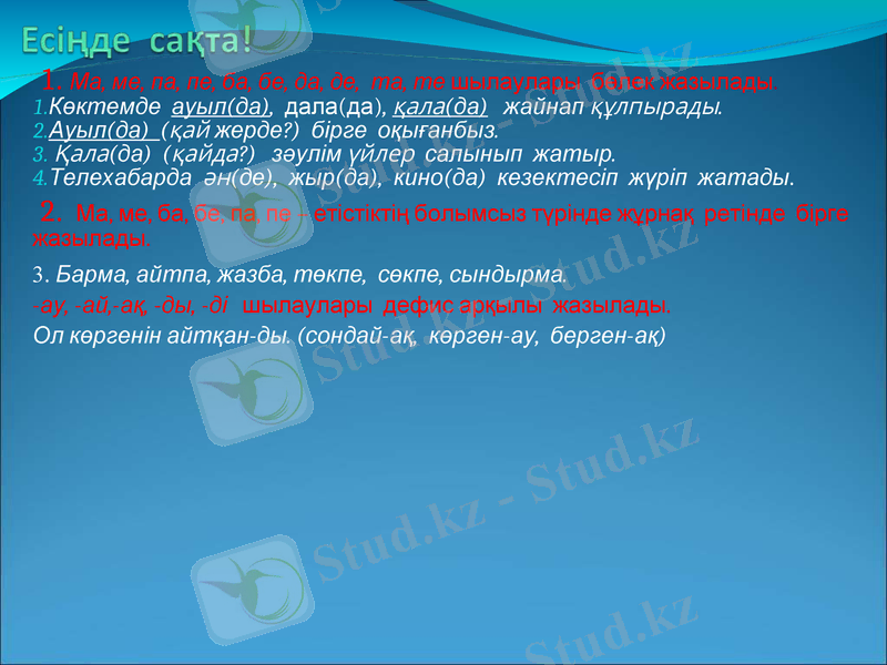 Slide 11