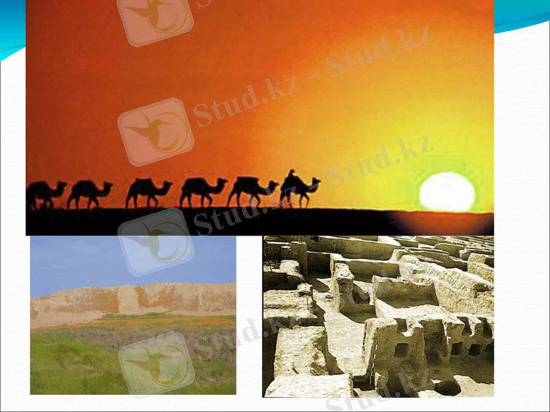 Slide 21