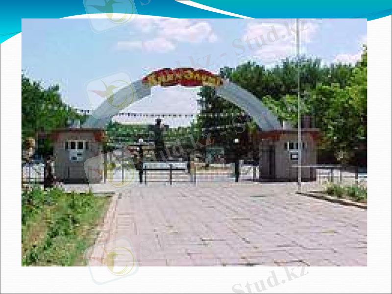 Slide 39