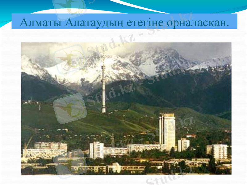 Slide 43
