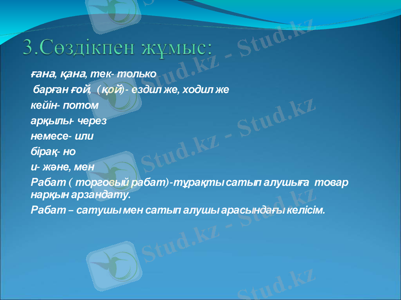 Slide 5