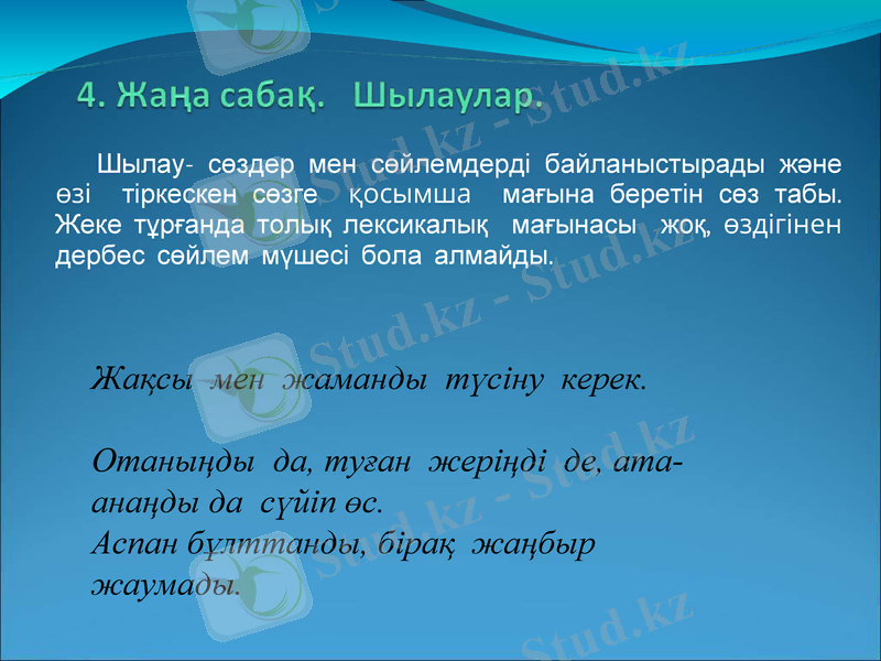 Slide 6