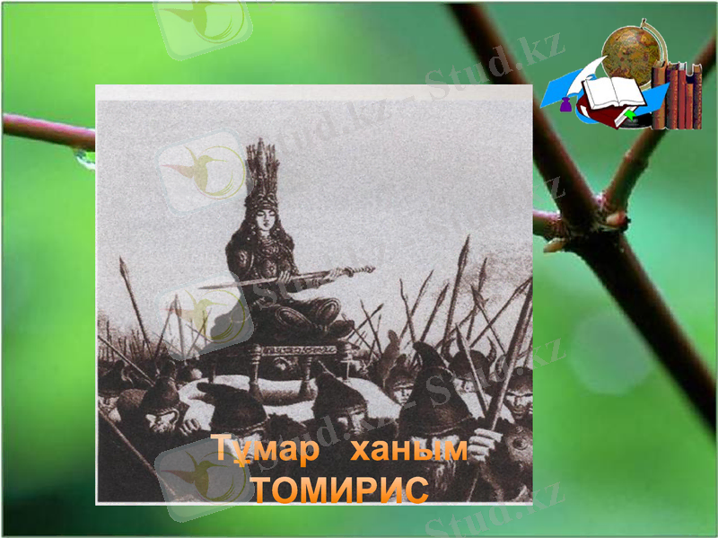 Slide 13