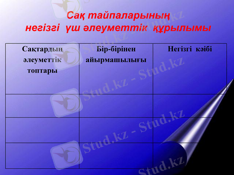 Slide 8