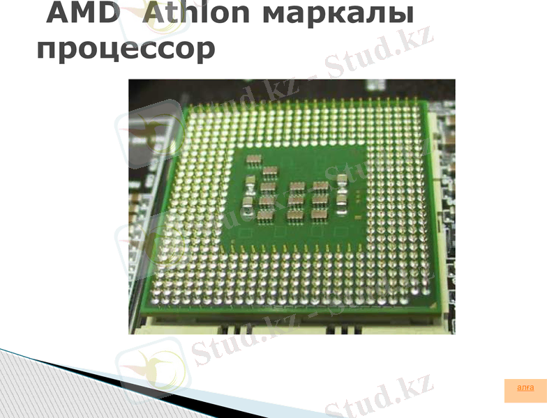 Slide 13