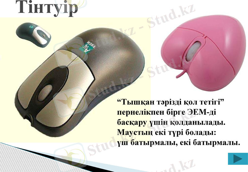 Slide 24