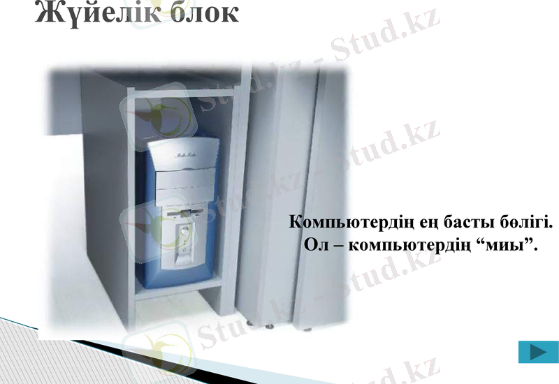 Slide 9