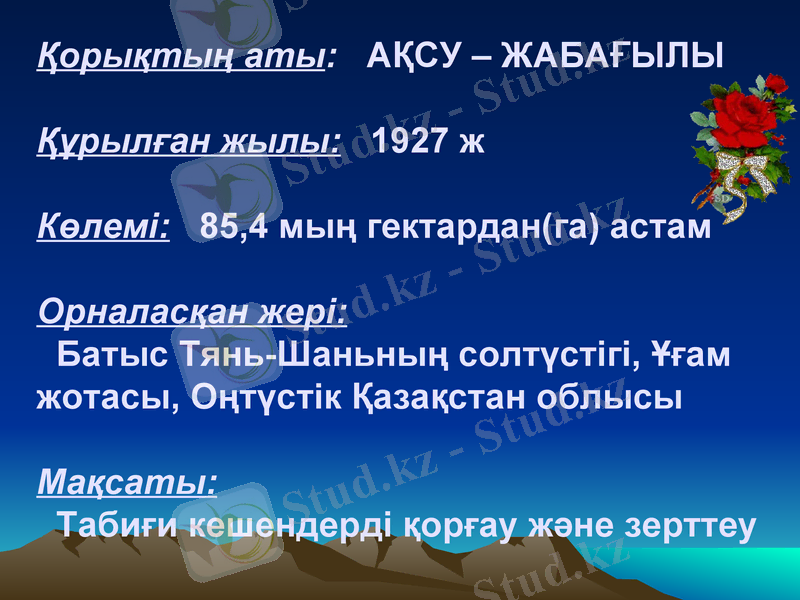 Slide 11