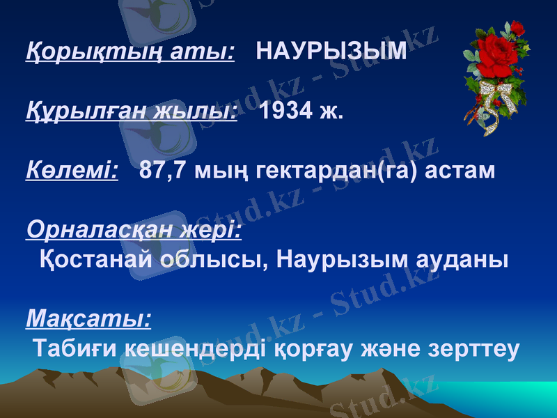 Slide 12