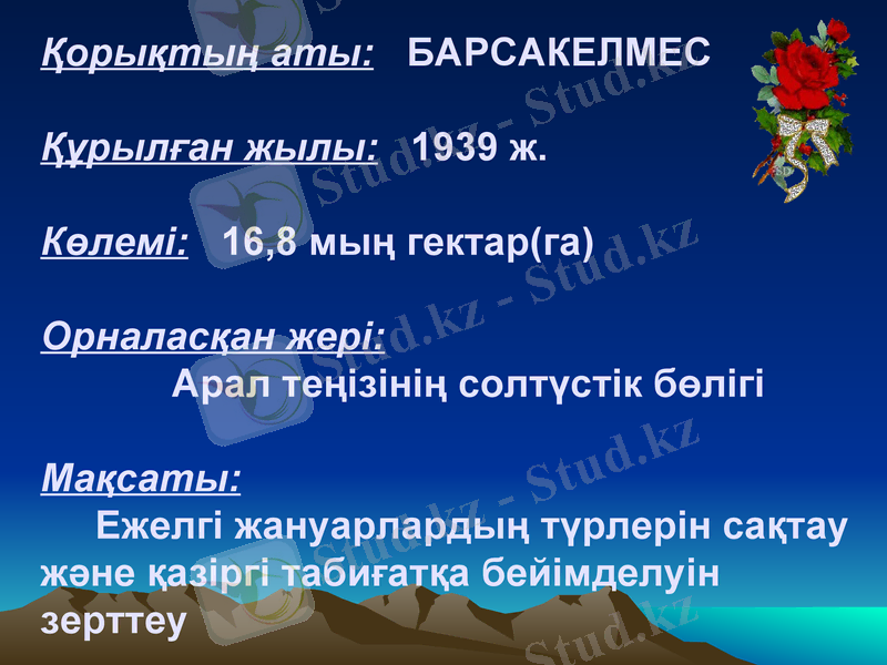 Slide 13