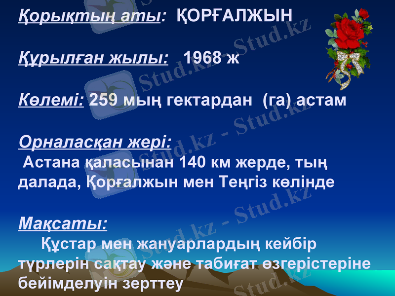 Slide 15