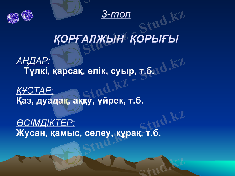 Slide 23