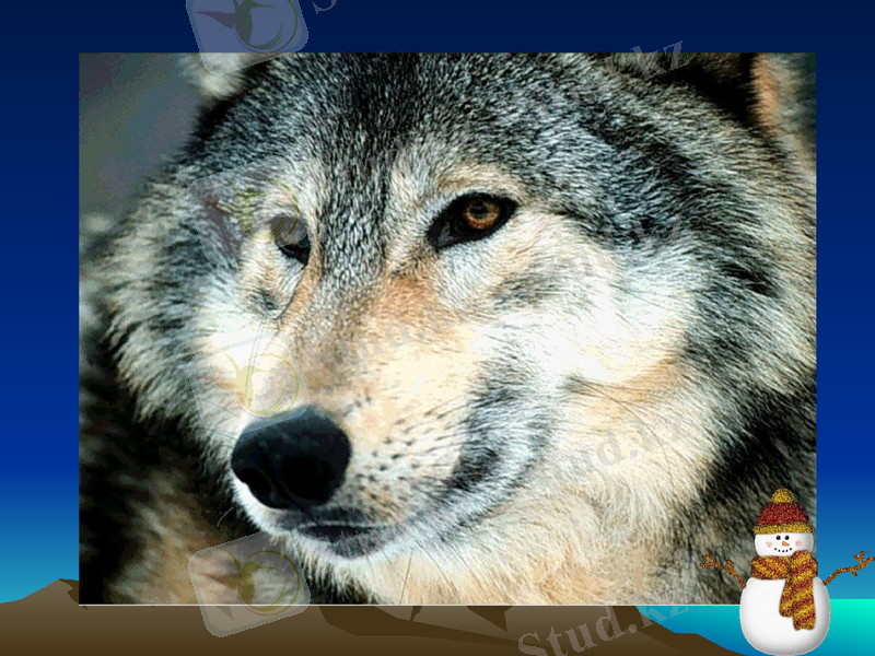 Slide 27