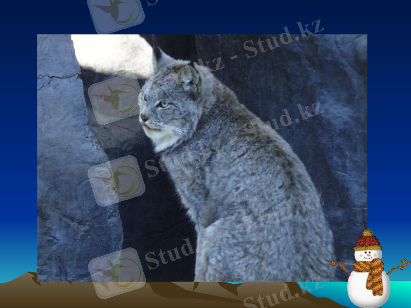 Slide 30