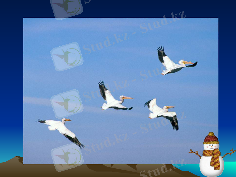 Slide 33
