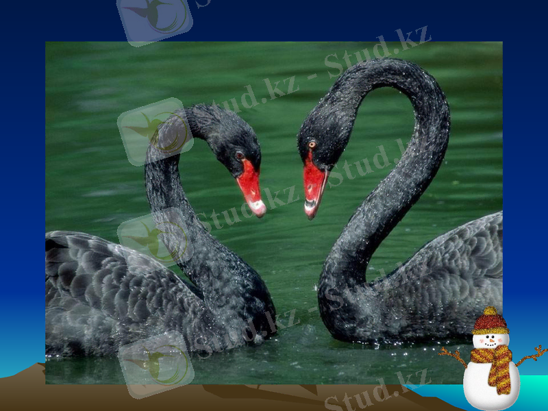 Slide 34
