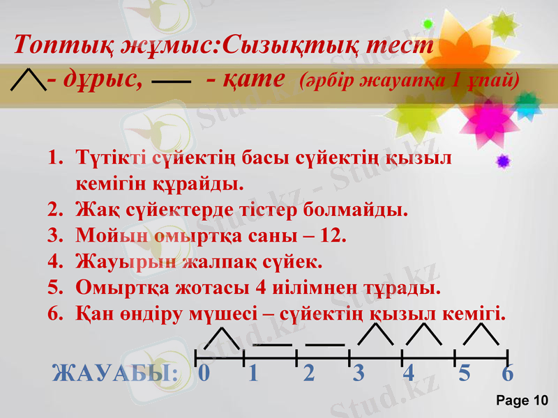 Slide 10