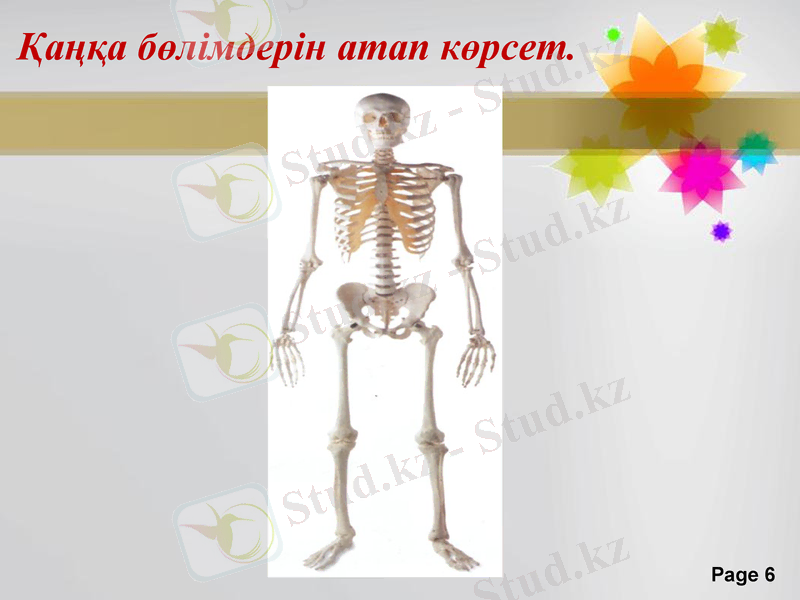 Slide 6