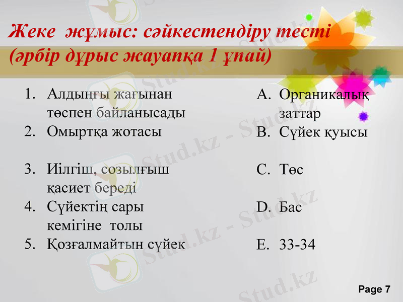 Slide 7