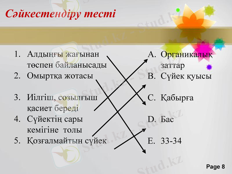 Slide 8