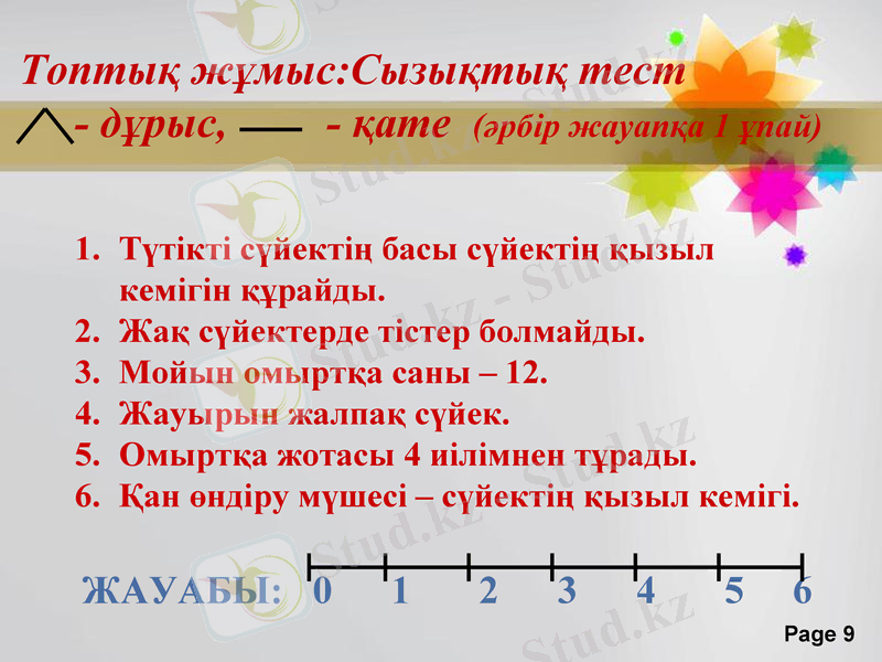 Slide 9